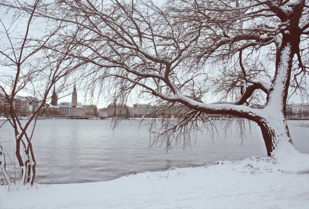 Ciudad de Hamburgo en invierno desde el río Alster